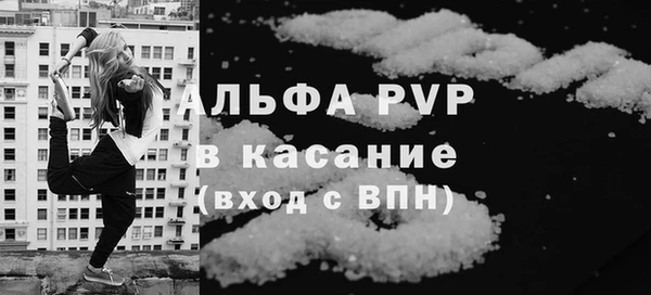 сатива Ессентукская