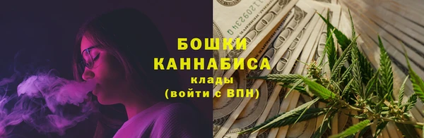сатива Ессентукская