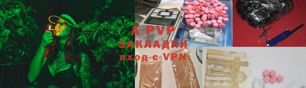 стафф Струнино