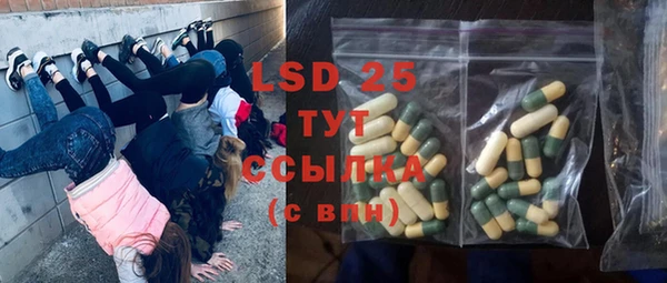сатива Ессентукская