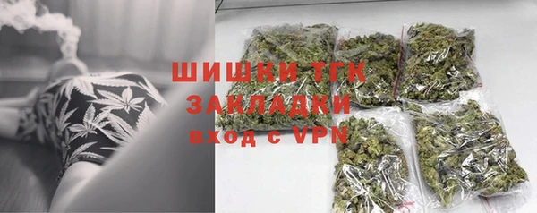 сатива Ессентукская