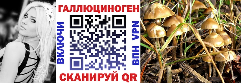 Псилоцибиновые грибы прущие грибы  Алдан 
